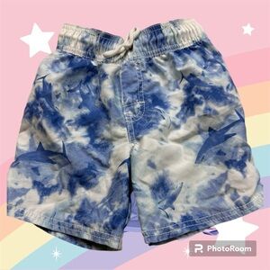 Oshkosh swim trunks